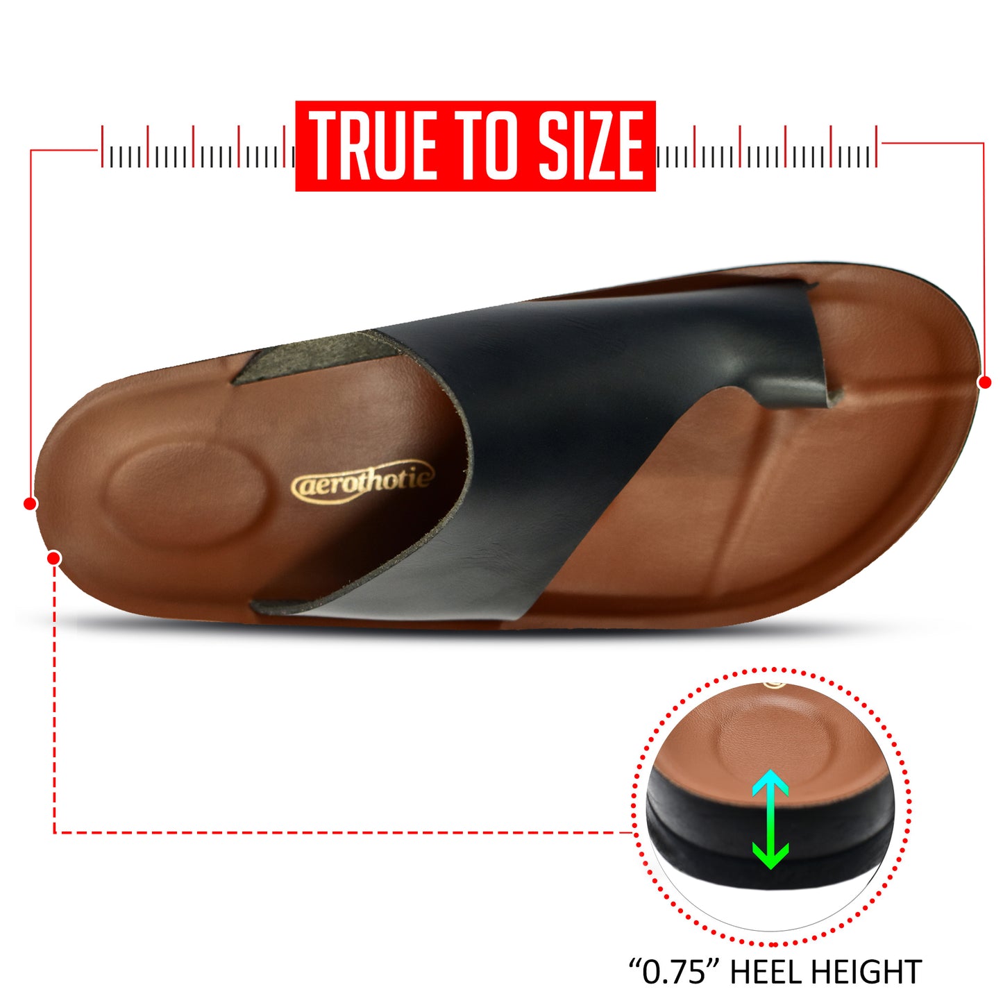 Aerothotic Neritic Comfortable Slides